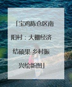 宝鸡陈仓区南阳村：大棚经济结硕果 乡村振兴绘新图