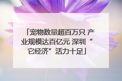 宠物数量超百万只 产业规模达百亿元 深圳“它经济”活力十足