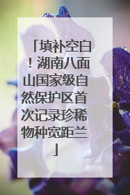 填补空白！湖南八面山国家级自然保护区首次记录珍稀物种宽距兰