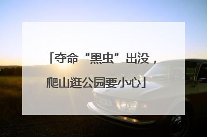 夺命“黑虫”出没，爬山逛公园要小心