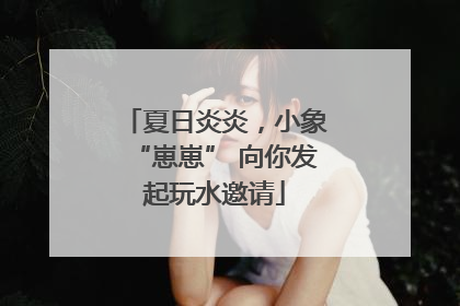 夏日炎炎，小象“崽崽” 向你发起玩水邀请