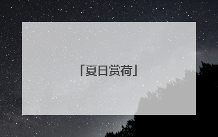 夏日赏荷