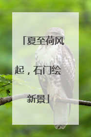 夏至荷风起，石门绘新景