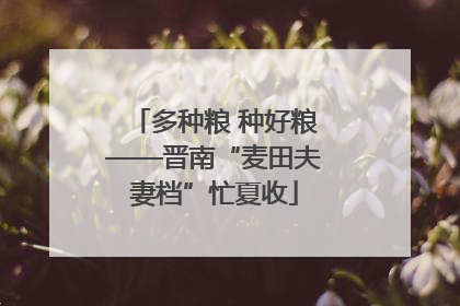 多种粮 种好粮——晋南“麦田夫妻档”忙夏收