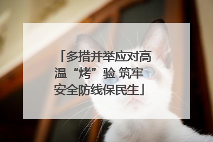 多措并举应对高温“烤”验 筑牢安全防线保民生