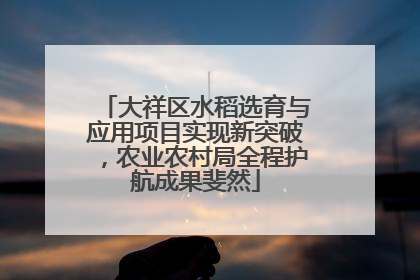 大祥区水稻选育与应用项目实现新突破，农业农村局全程护航成果斐然
