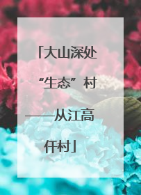 大山深处“生态”村——从江高仟村