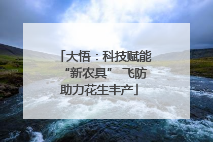 大悟：科技赋能“新农具” 飞防助力花生丰产