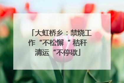 大虹桥乡：禁烧工作“不松懈“ 秸秆清运“不停歇