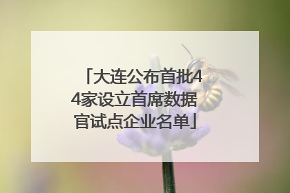 大连公布首批44家设立首席数据官试点企业名单