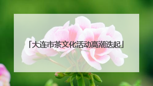 大连市茶文化活动高潮迭起