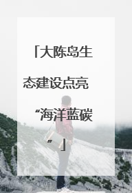 大陈岛生态建设点亮“海洋蓝碳”