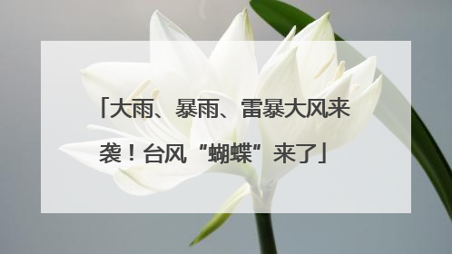 大雨、暴雨、雷暴大风来袭！台风“蝴蝶”来了