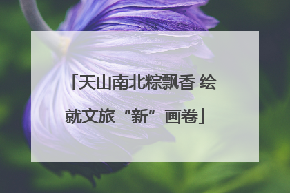 天山南北粽飘香 绘就文旅“新”画卷