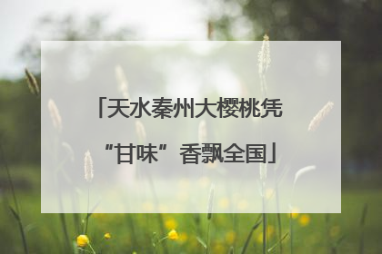 天水秦州大樱桃凭“甘味”香飘全国