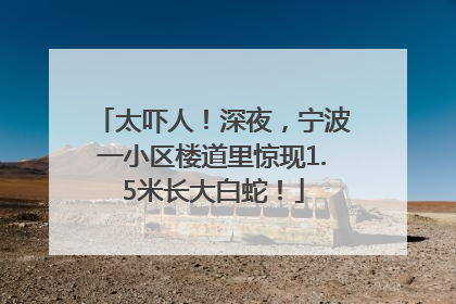 太吓人！深夜，宁波一小区楼道里惊现1.5米长大白蛇！