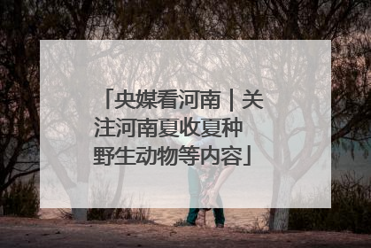 央媒看河南｜关注河南夏收夏种 野生动物等内容