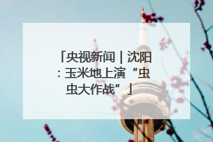 央视新闻｜沈阳：玉米地上演“虫虫大作战”