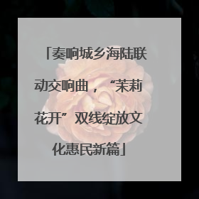 奏响城乡海陆联动交响曲，“茉莉花开”双线绽放文化惠民新篇