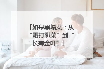 如皋黑塌菜：从“霜打趴菜”到“长寿金叶”