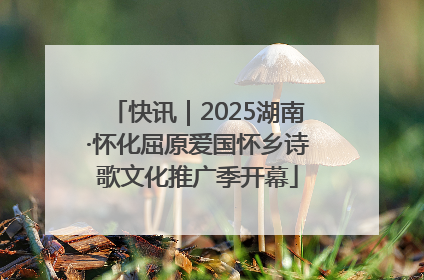 快讯｜2025湖南·怀化屈原爱国怀乡诗歌文化推广季开幕