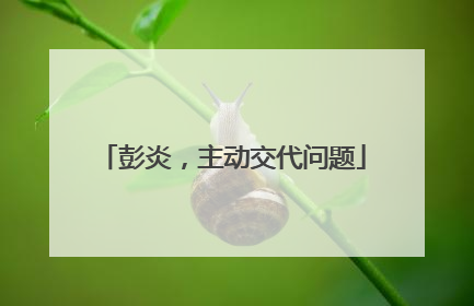 彭炎，主动交代问题