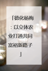 德化杨梅：以立体农业打通共同富裕新路子