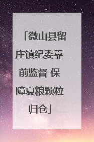 微山县留庄镇纪委靠前监督 保障夏粮颗粒归仓