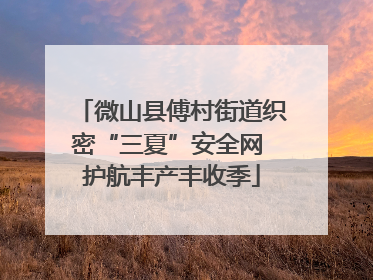 微山县傅村街道织密“三夏”安全网 护航丰产丰收季