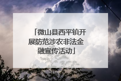 微山县西平镇开展防范涉农非法金融宣传活动