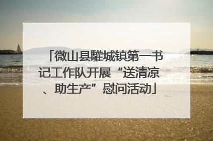 微山县驩城镇第一书记工作队开展“送清凉、助生产”慰问活动