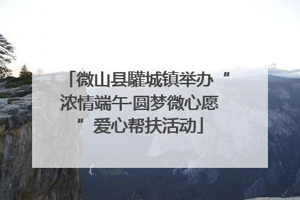 微山县驩城镇举办“浓情端午·圆梦微心愿”爱心帮扶活动