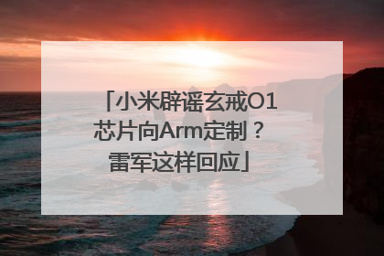 小米辟谣玄戒O1芯片向Arm定制？雷军这样回应