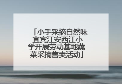 小手采摘自然味 宜宾江安西江小学开展劳动基地蔬菜采摘售卖活动