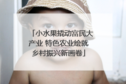 小水果撬动富民大产业 特色农业绘就乡村振兴新画卷