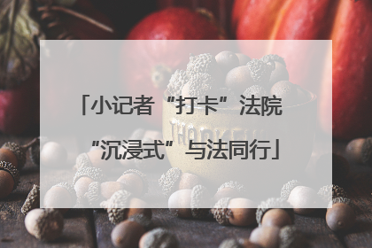 小记者“打卡”法院 “沉浸式”与法同行