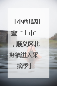 小西瓜甜蜜“上市”，顺义区北务镇进入采摘季