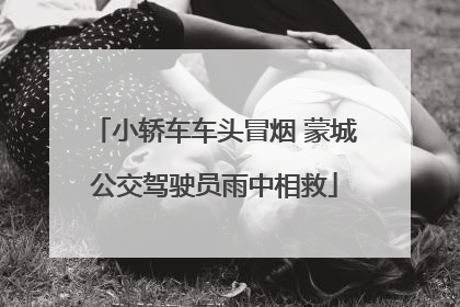 小轿车车头冒烟 蒙城公交驾驶员雨中相救