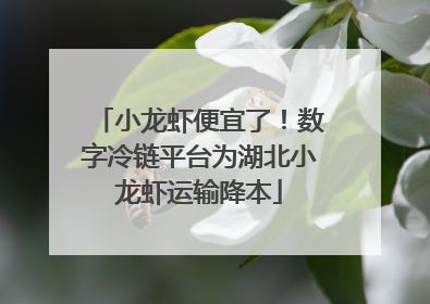 小龙虾便宜了！数字冷链平台为湖北小龙虾运输降本