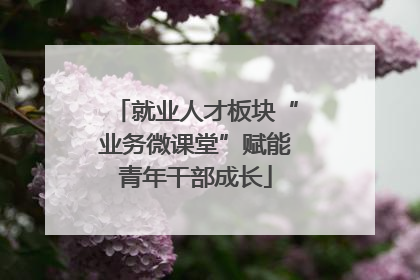 就业人才板块“业务微课堂”赋能青年干部成长