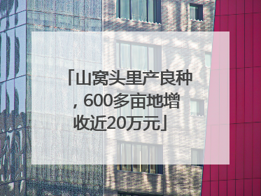 山窝头里产良种，600多亩地增收近20万元