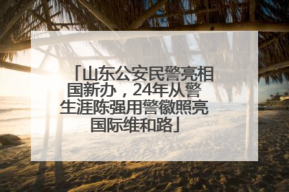 山东公安民警亮相国新办，24年从警生涯陈强用警徽照亮国际维和路