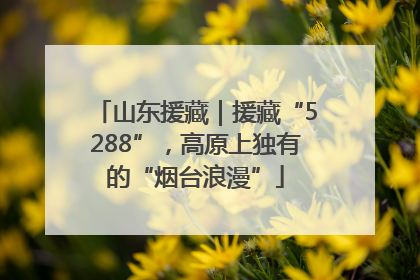 山东援藏｜援藏“5288”，高原上独有的“烟台浪漫”