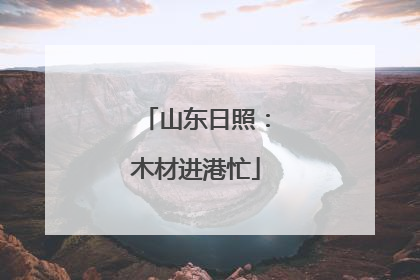 山东日照：木材进港忙