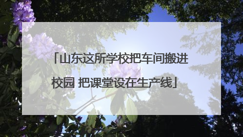山东这所学校把车间搬进校园 把课堂设在生产线