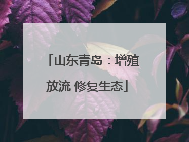 山东青岛：增殖放流 修复生态