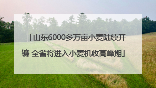 山东6000多万亩小麦陆续开镰 全省将进入小麦机收高峰期