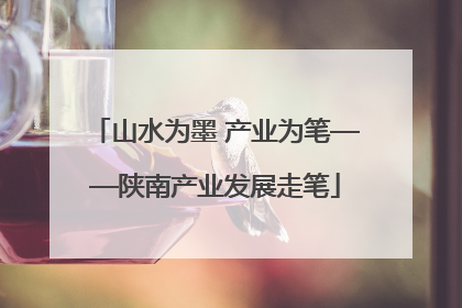 山水为墨 产业为笔——陕南产业发展走笔