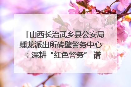 山西长治武乡县公安局蟠龙派出所砖壁警务中心：深耕“红色警务” 谱写“平安答卷”