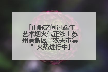 山野之间过端午，艺术烟火气正浓！苏州高新区“农夫市集”火热进行中